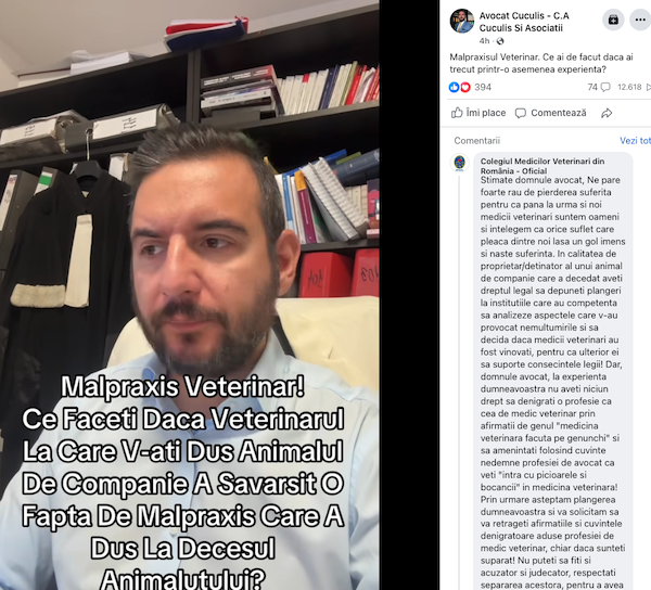 scandal cuculis macinic mihai