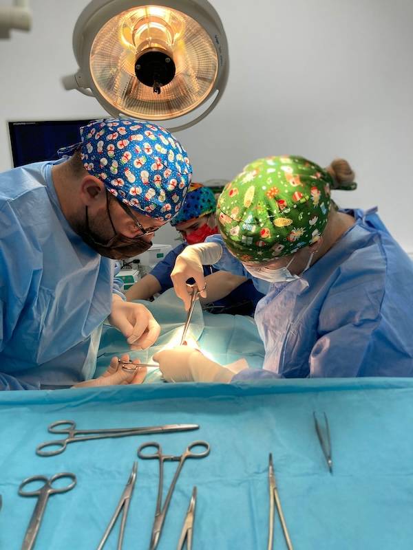 alina stefanescu alexandru vitalaru