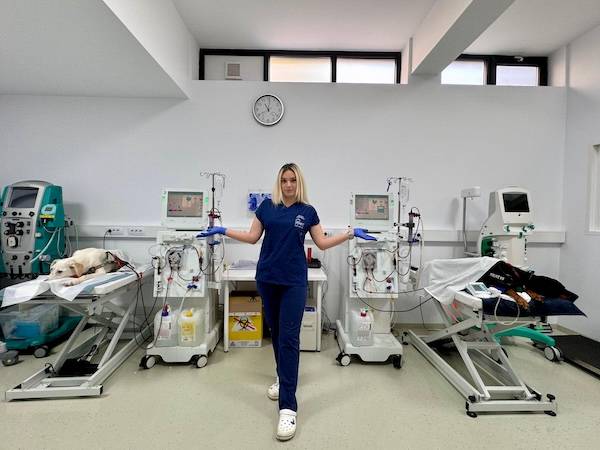 alina stefanescu interviu revista veterinarul