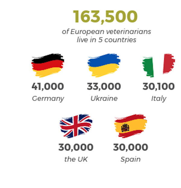 numar veterinari la nivel european tarile din top 5