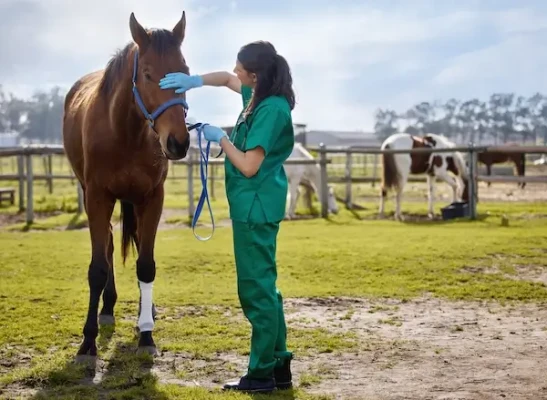 Medicii veterinari ecvini, îndemnați să promoveze vaccinarea împotriva gurmei