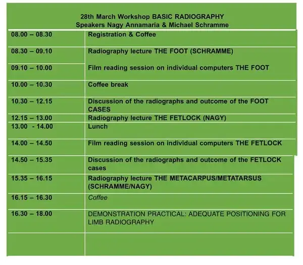 program workshop