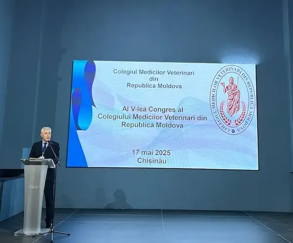 CMV republica Moldova 1