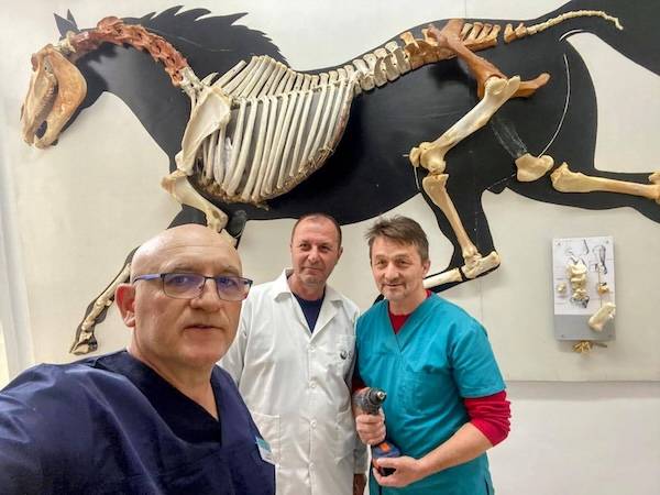 fmv cluj napoca calul din perete