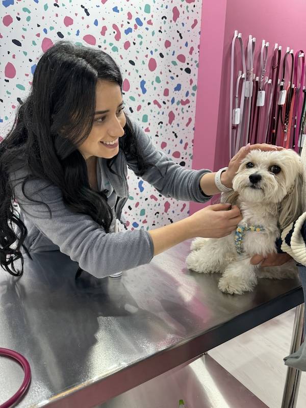 carmen totolici pet event 2