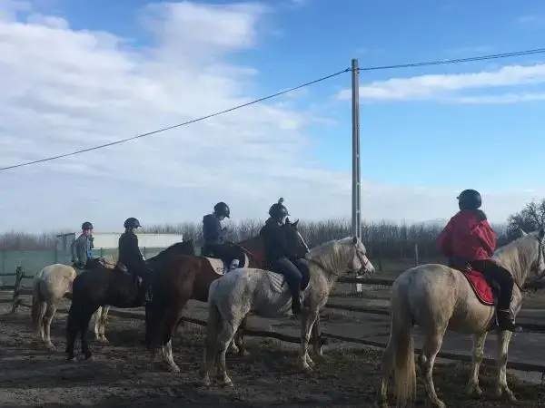 nemeth lorand csaba foto4