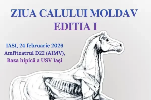 Ziua Calului Moldav, ediția I: conferințe și aplicații practice dedicate îngrijirii cabalinelor