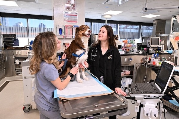 Schwarzman AMC december 9 2025 2