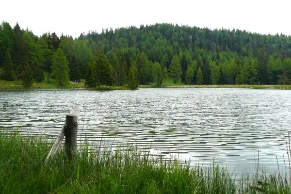 Markeri genetici pentru identificarea sursei poluării fecale a apelor de suprafață — o nouă metodă dezvoltată în Finlanda