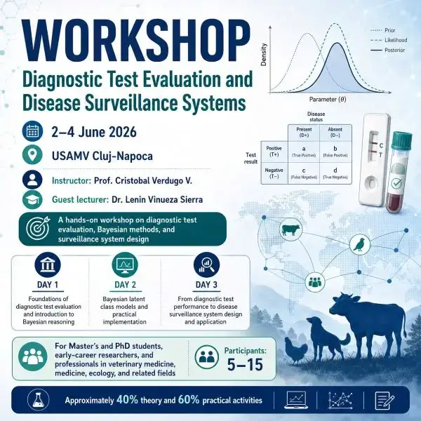 workshop Cluj