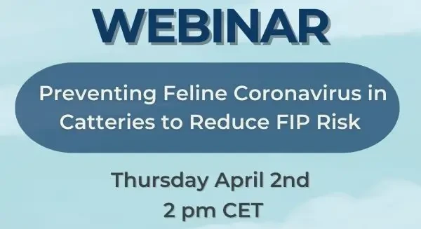 Webinar european despre prevenirea coronavirusului felin în crescătorii și reducerea riscului de peritonită infecțioasă felină (FIP)