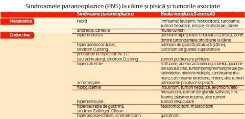 sindroame neoplazice1