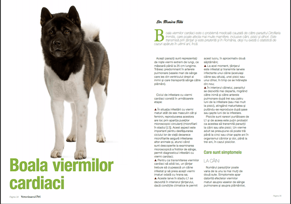 boala viermilor cardiaci