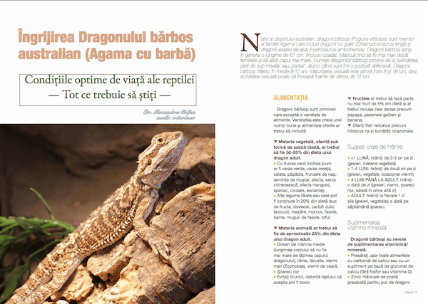 dragon barbos
