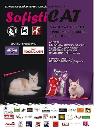 afis 2013 tipar mic sofisticat