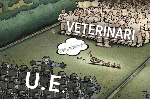 Idei Lozinci Si Pancarte Protest Medici Veterinari 26 Martie