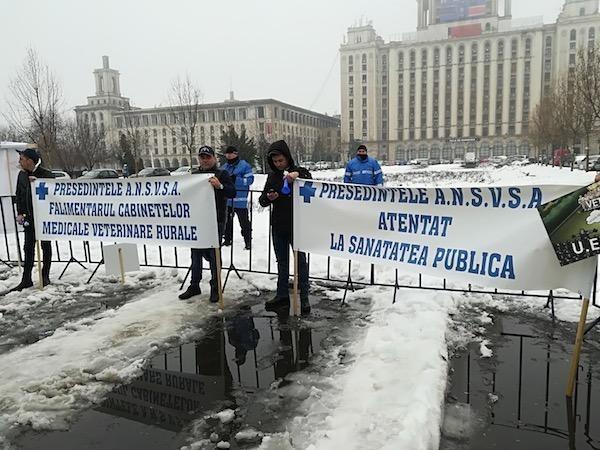 protest medici veterinari4