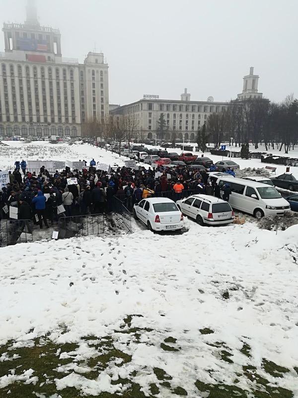 protest medici veterinari8